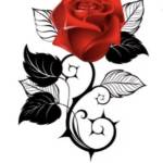 Ksime Profile Picture