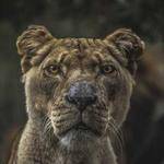 Jadyn Schinner Profile Picture