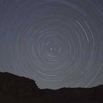 Delfina Kulas Profile Picture