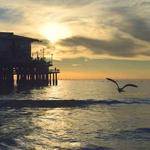 Newton Effertz Profile Picture