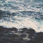 Aubree Schamberger Profile Picture