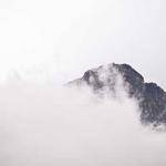 Oral Wuckert Profile Picture