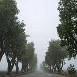 Gilbert Jakubowski Profile Picture