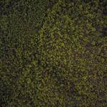 Mack Bergnaum Profile Picture