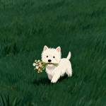 Anha Ngym Profile Picture